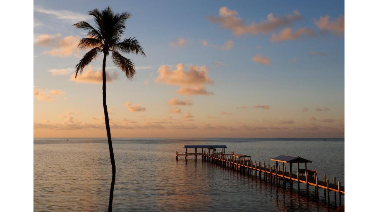 Cheeca Lodge & Spa Islamorada Eksteriør billede Sunset at the pier